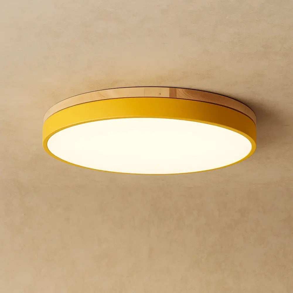 Plafonnier LED <br> Éclat Doux | Solvyn | Delvanie