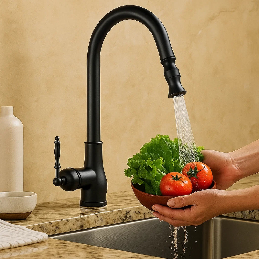 Vintage Kitchen Faucet with Modern Functionality
