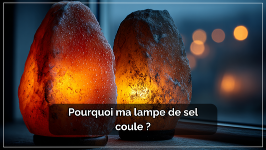 Pourquoi ma lampe de sel coule ? | Delvanie