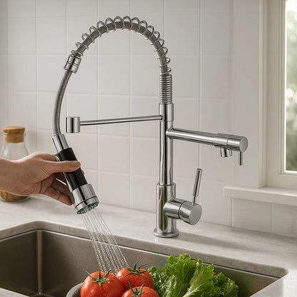 Kitchen Faucet with Dual Water Outlets