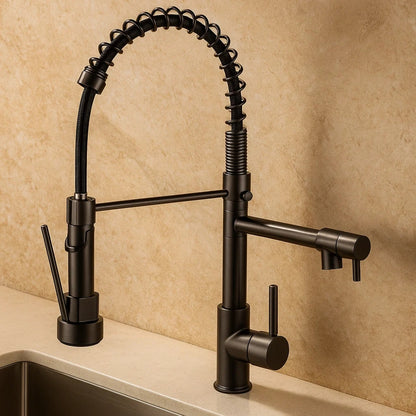 Kitchen Faucet with Dual Water Outlets