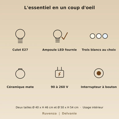 Caractéristiques, culot E27, ampoule LED fournie, trois blancs au choix, 90 à 260 V | Delvanie