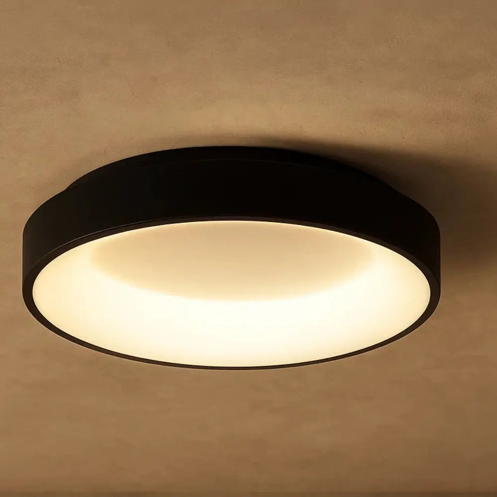 Luminaire Plafonnier <br> Design Épuré | Luminix | Delvanie