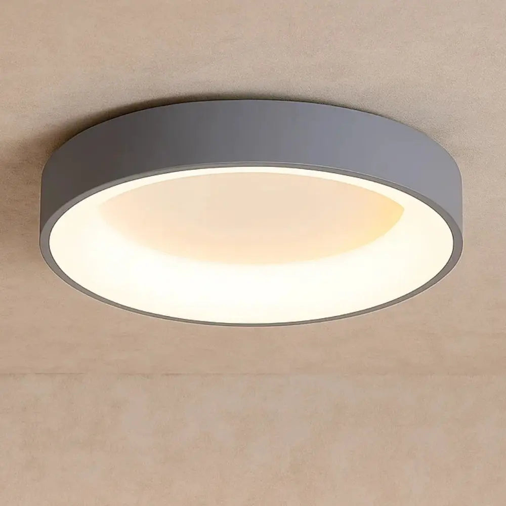 Luminaire Plafonnier <br> Design Épuré | Luminix | Delvanie