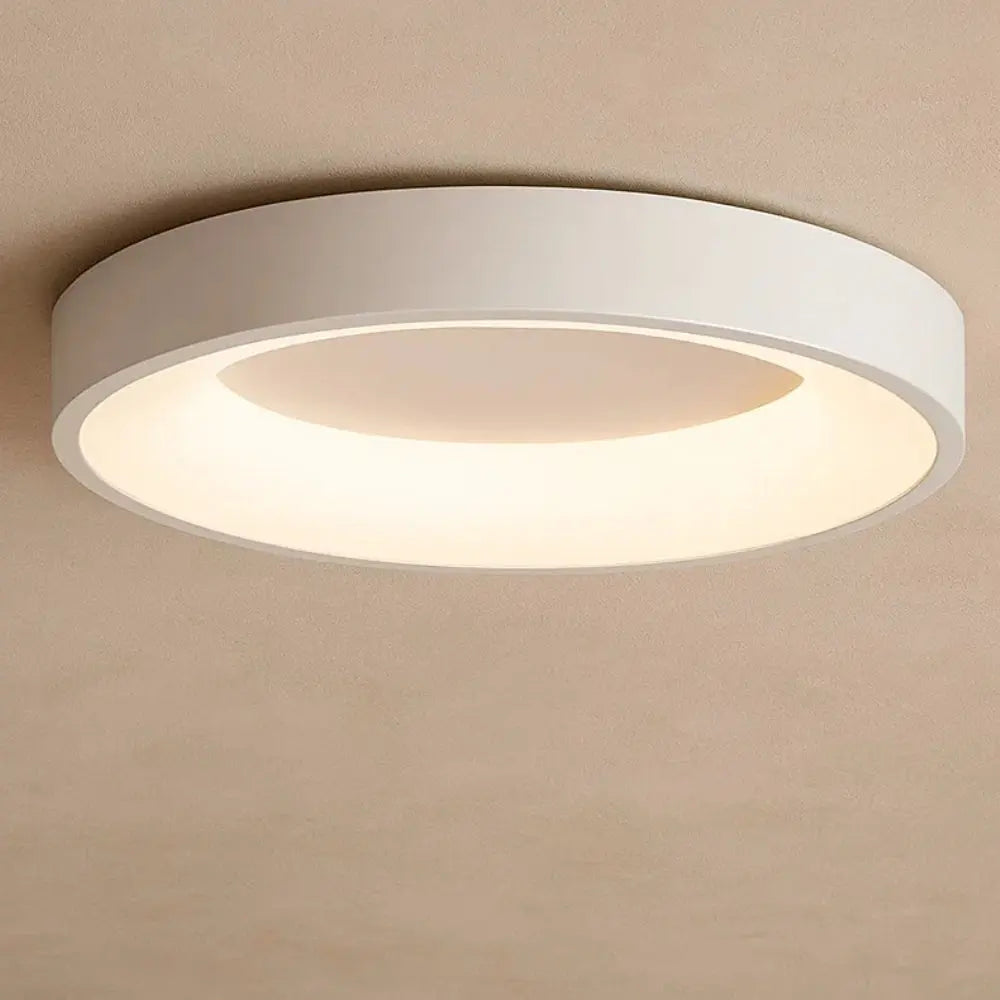 Luminaire Plafonnier <br> Design Épuré | Luminix | Delvanie