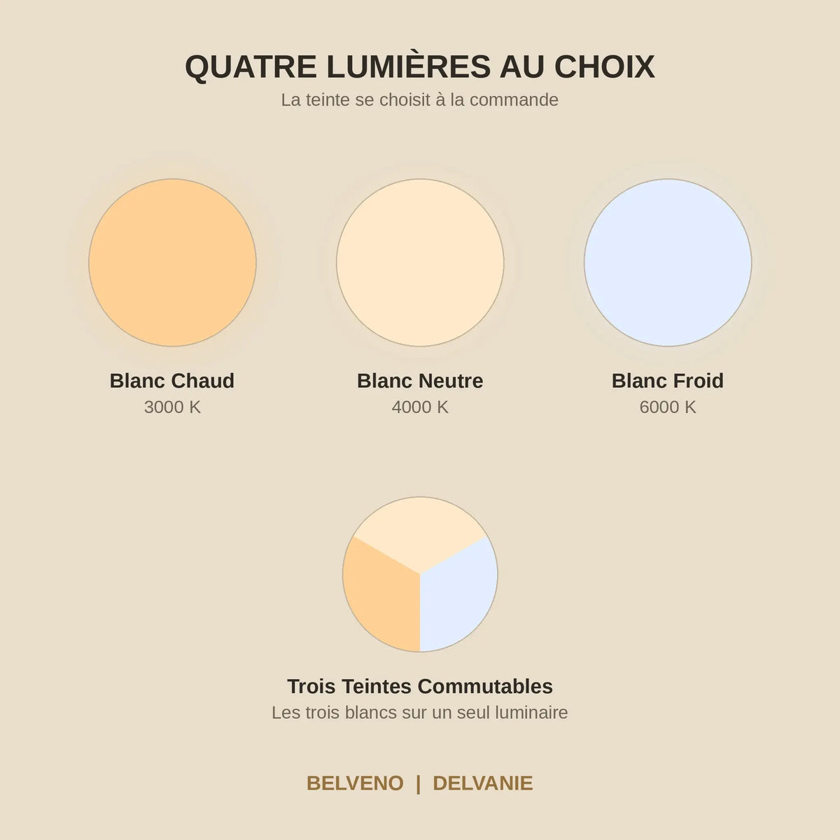 Les quatre couleurs de lumière au choix, blanc chaud, blanc neutre, blanc froid et trois teintes