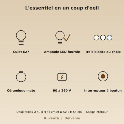 Caractéristiques, culot E27, ampoule LED fournie, trois blancs au choix, 90 à 260 V | Delvanie