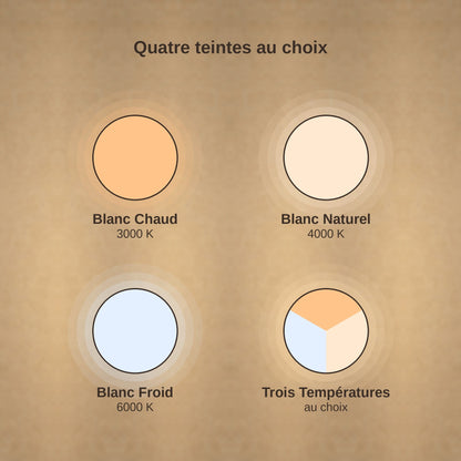 Les quatre teintes de lumière du lustre de couloir Serlino, 3000K, 4000K, 6000K et trois températures | Delvanie