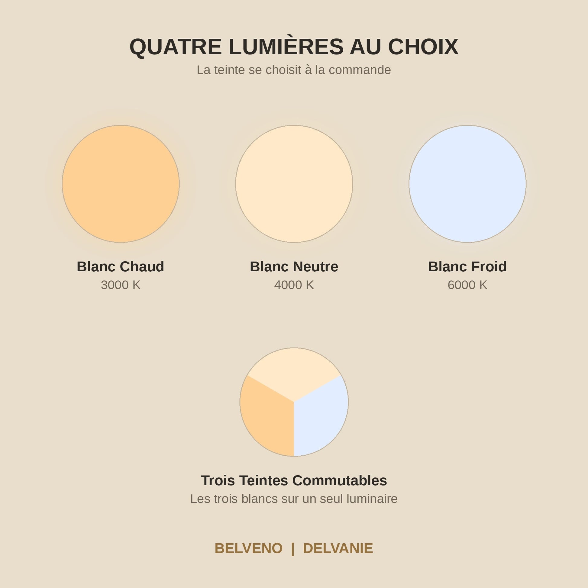 Les quatre couleurs de lumière au choix, blanc chaud, blanc neutre, blanc froid et trois teintes | Delvanie