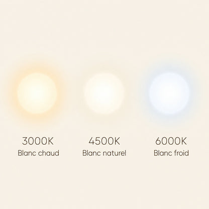 Trois températures de lumière du plafonnier Prismya, 3000K à 6000K | Delvanie